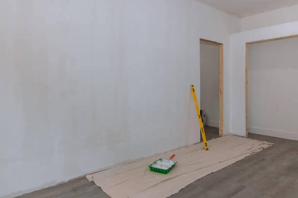 Best Attic Mold Removal  in Cross City, FL